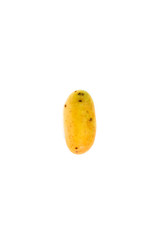 Potato Close up for isolated