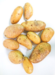 Potato Close up for isolated