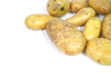 Potato Close up for isolated