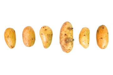 Potato Close up for isolated