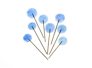 Colourful lollipop isolated on the white background