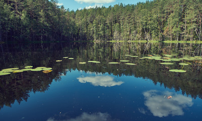 Dead lake , Myadel District. Belarus