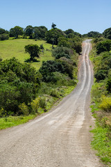 Africa road