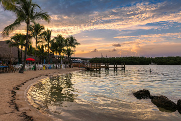Sunrise at tropical beach with palm trees, resort and Marina in Florida Keys with Caribbean sea view.