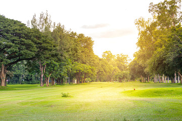 Golf-course in Norhtern Thailand, vintae warm light, nature concept, green field with beautiful tree