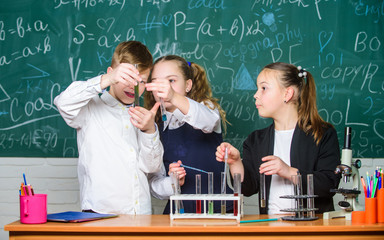 Test tubes with colorful substances. Girls and boy student conduct school experiment with liquids. Check result. School chemistry lesson. School laboratory. Group school pupils study chemical liquids