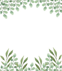 Frame of green leaves  on a white background. For invitations, greetings, weddings