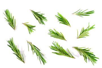 Fototapeta premium Top view, Branch and Leaf of fresh raw rosemary isolated on white background. Tiwgs - leaf green. Organic and herbal nature concept, Flat lay