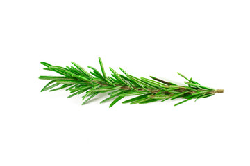 Top view, Branch and Leaf of fresh raw rosemary isolated on white background. Tiwgs - leaf green. Organic and herbal nature concept, Flat lay