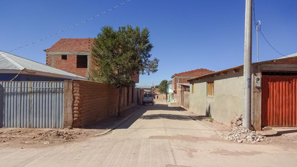 Plateau Altiplano with very untypical nature in Bolivia