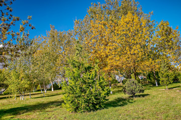 Naklejka premium Spadek