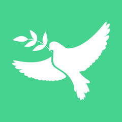 Peace dove with green branch. Vector illustration.