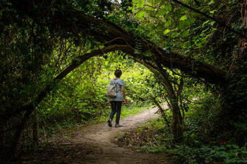 Fototapeta premium Colle Val d'Elsa, Elsa River park, Tuscany
