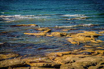 Камни и чайка