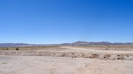 Plateau Altiplano with very untypical nature in Bolivia