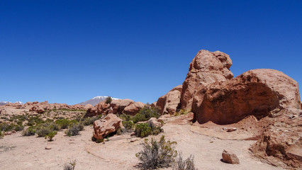 Fototapeta premium Plateau Altiplano with very untypical nature in Bolivia
