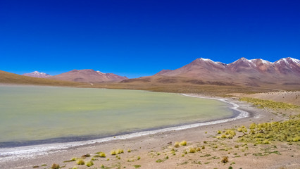 Fototapeta na wymiar Plateau Altiplano with very untypical nature in Bolivia