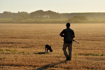 Cazador en el campo cazando con un perro de caza - obrazy, fototapety, plakaty