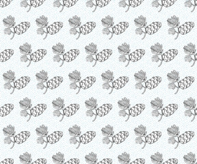 Seamless vector pattern with pine cones, conifer cones and cedar. Hand drawn vector black and white illustration. Forest vintage style. Christmas gift