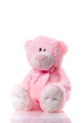 Lovely cute pink teddy bear isolated on white background.