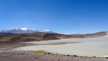 Plateau Altiplano with very untypical nature in Bolivia