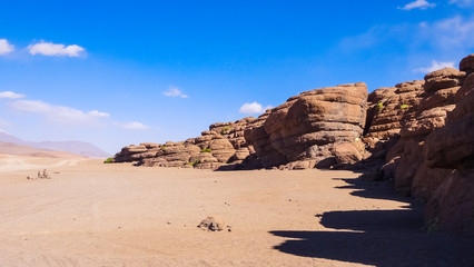 Plateau Altiplano with very untypical nature in Bolivia