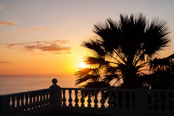ocean view terrace with sunset sky background and palm tree