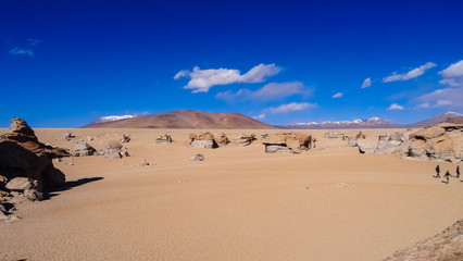 Fototapeta na wymiar Plateau Altiplano with very untypical nature in Bolivia
