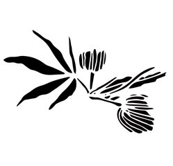 Decorative black trafaret branch of big hemp with leaves