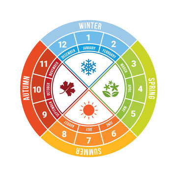 4 season circle diagram chart with icon sign and month time vector design