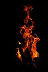 Fototapeta premium The fire. Tongues of fire. Flame close up. Photo background with fire. Fire texture with copyspace
