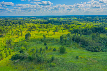 Fototapeta premium Top view of fresh green color fields