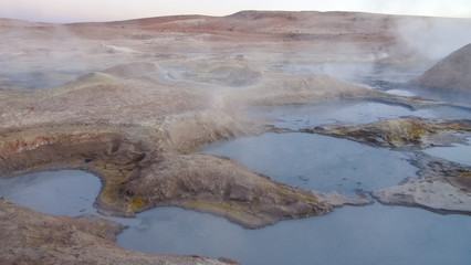 Plateau Altiplano with very untypical nature in Bolivia