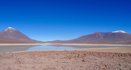 Plateau Altiplano with very untypical nature in Bolivia