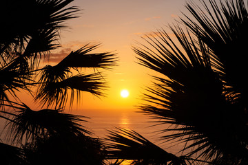 Fototapeta na wymiar sunset sky over ocean water with palm trees -