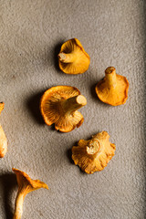 Chanterelles on a beige textured background. Copyspace. Autumn mood.