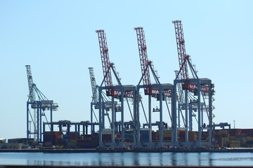 Fototapeta na wymiar Industrial view of sea port warehouse, container spreaders and gantry cranes. Import export, global logistics concept.