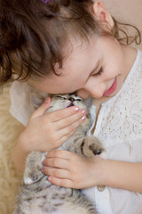 Little kid girl pets a cute gray kitten