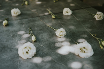 roses on wooden background