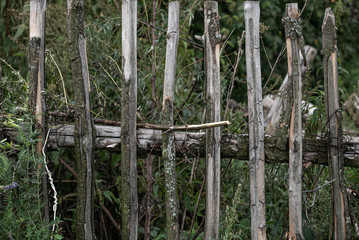 Fence in a contry made with wooden rods