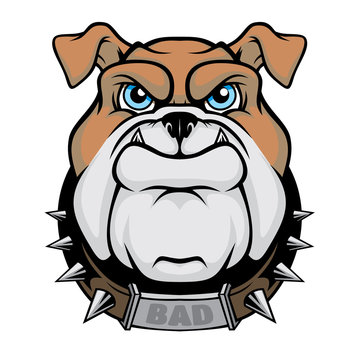 Bulldog head mascot. 