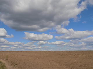 Beautiful summer landscape. Wide steppe, high blue sky with snow-white clouds. Space and freedom.
