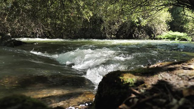 eau vive - rivi&egrave;re - nature