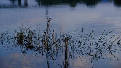 Sunset on the river. Dusk. Reflection in water. Water surface