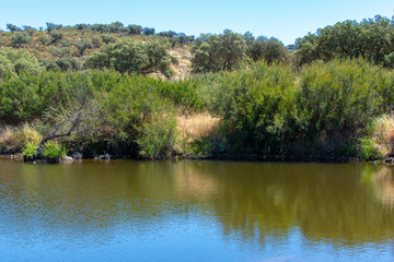 River passing in Barrancos, Alentejo, Portugal