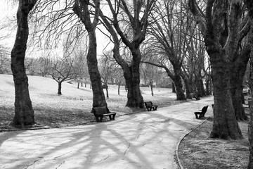 Birmingham park. Black and white vintage style.