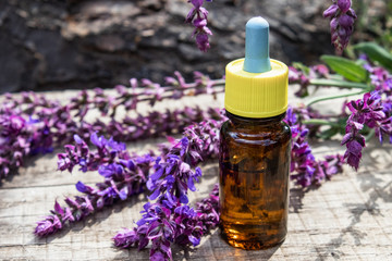 Lavender essential oil in a glass bottle on a wooden table near the branches of blooming lavender. Tincture or essential oil with lavender. herbal medicine.