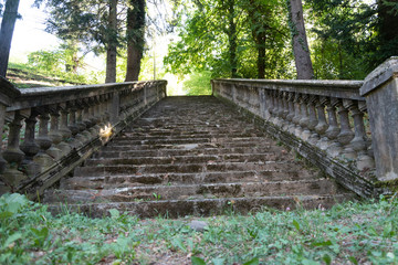 Escalera antigua de piedra en abandono en el bosque 