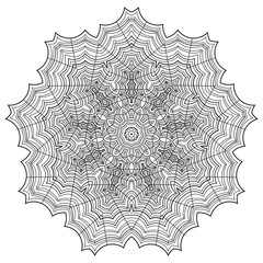 Fototapeta premium Abstract web outline on a white background