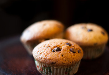 chocolate chip muffins or cupcakes .Agaist a dark background.